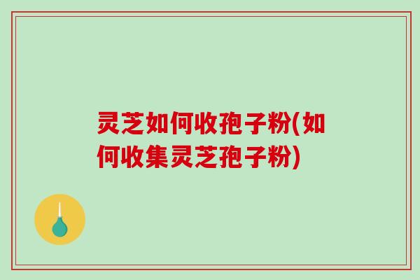 灵芝如何收孢子粉(如何收集灵芝孢子粉)