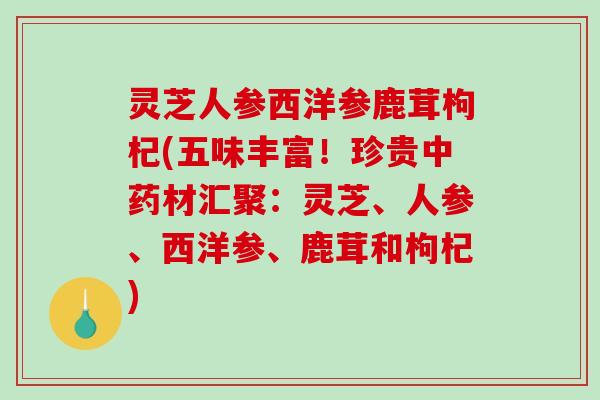 灵芝人参西洋参鹿茸枸杞(五味丰富！珍贵中药材汇聚：灵芝、人参、西洋参、鹿茸和枸杞)