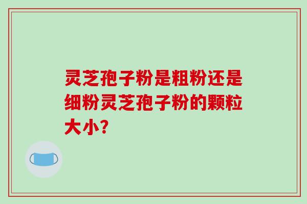 灵芝孢子粉是粗粉还是细粉灵芝孢子粉的颗粒大小？