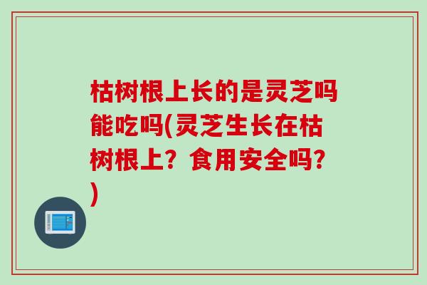 枯树根上长的是灵芝吗能吃吗(灵芝生长在枯树根上？食用安全吗？)