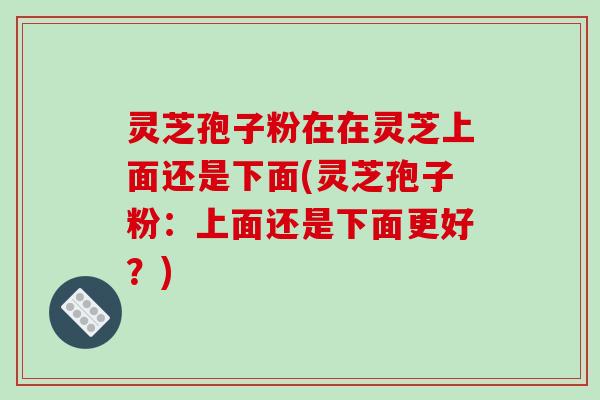 灵芝孢子粉在在灵芝上面还是下面(灵芝孢子粉：上面还是下面更好？)