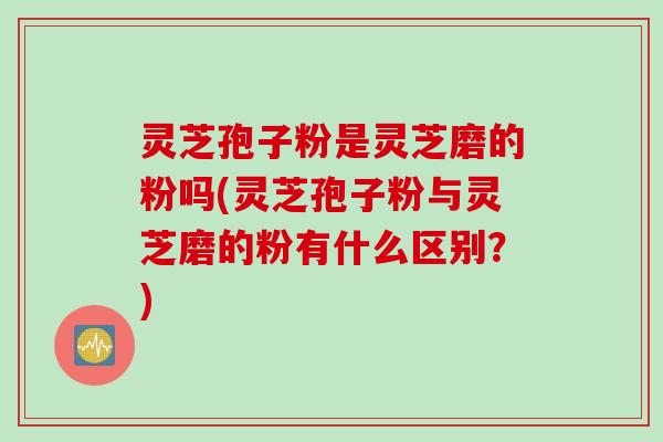 灵芝孢子粉是灵芝磨的粉吗(灵芝孢子粉与灵芝磨的粉有什么区别？)