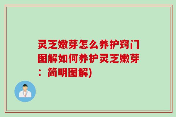 灵芝嫩芽怎么养护窍门图解如何养护灵芝嫩芽：简明图解)