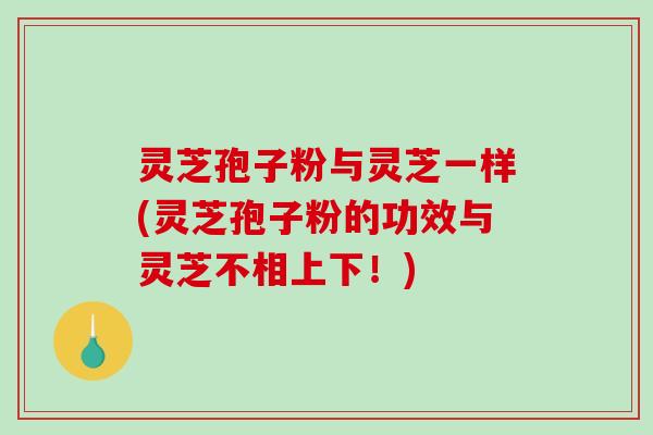 灵芝孢子粉与灵芝一样(灵芝孢子粉的功效与灵芝不相上下！)