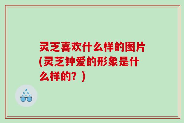 灵芝喜欢什么样的图片(灵芝钟爱的形象是什么样的？)