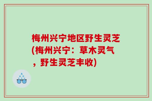 梅州兴宁地区野生灵芝(梅州兴宁：草木灵气，野生灵芝丰收)