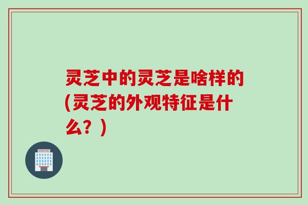 灵芝中的灵芝是啥样的(灵芝的外观特征是什么?) 灵芝中的灵芝是啥样的(灵芝的外观特征是什么?)