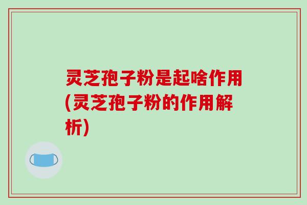 灵芝孢子粉是起啥作用(灵芝孢子粉的作用解析)