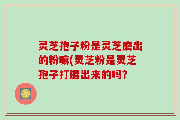 灵芝孢子粉是灵芝磨出的粉嘛(灵芝粉是灵芝孢子打磨出来的吗？
