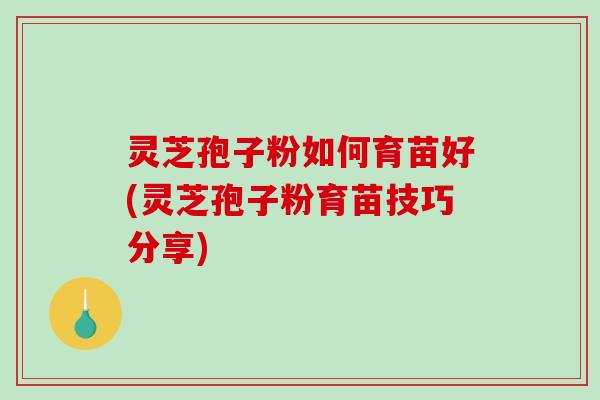 灵芝孢子粉如何育苗好(灵芝孢子粉育苗技巧分享)
