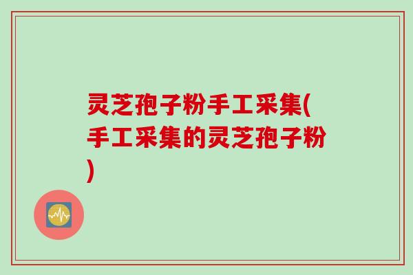 灵芝孢子粉手工采集(手工采集的灵芝孢子粉)