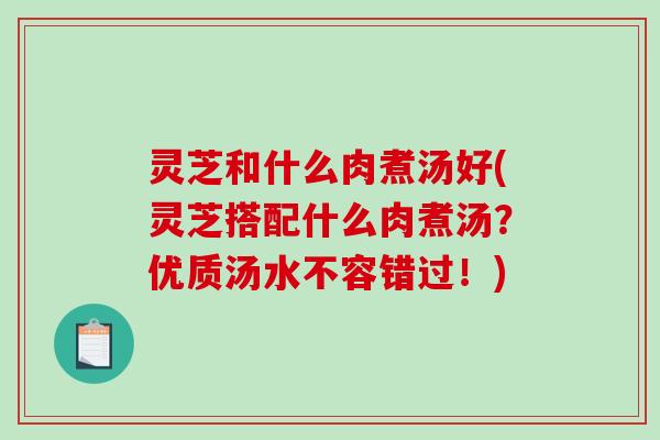 灵芝和什么肉煮汤好(灵芝搭配什么肉煮汤？优质汤水不容错过！)