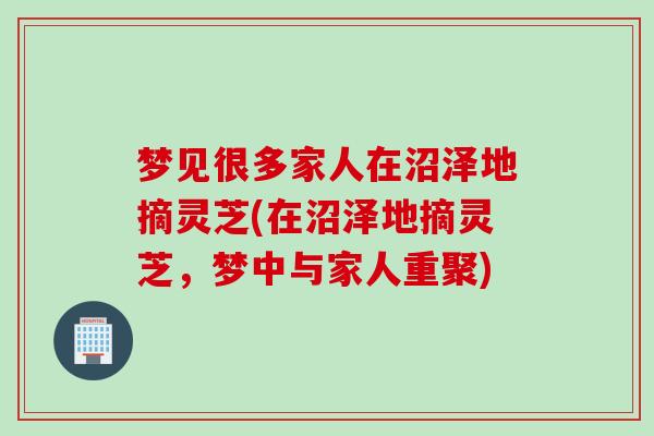 梦见很多家人在沼泽地摘灵芝(在沼泽地摘灵芝，梦中与家人重聚)