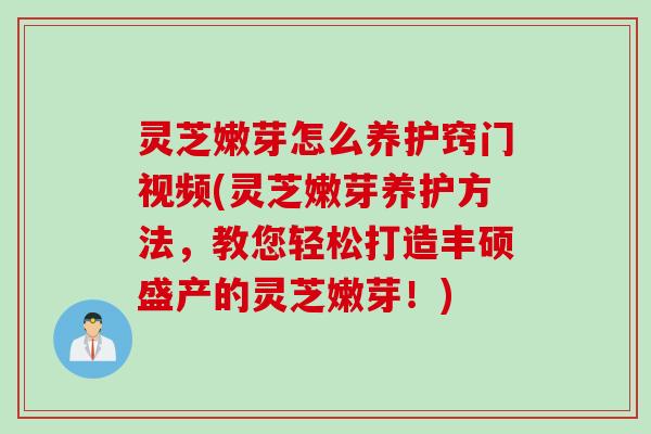 灵芝嫩芽怎么养护窍门视频(灵芝嫩芽养护方法，教您轻松打造丰硕盛产的灵芝嫩芽！)