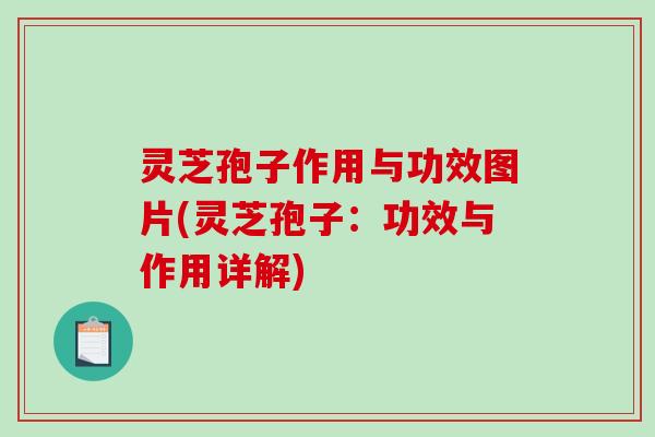 灵芝孢子作用与功效图片(灵芝孢子：功效与作用详解)