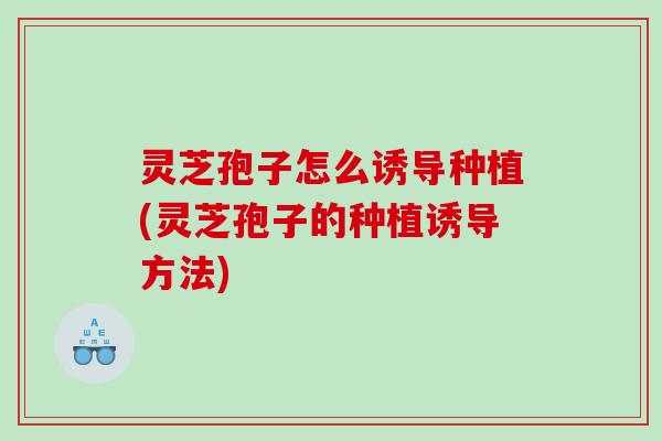 灵芝孢子怎么诱导种植(灵芝孢子的种植诱导方法)