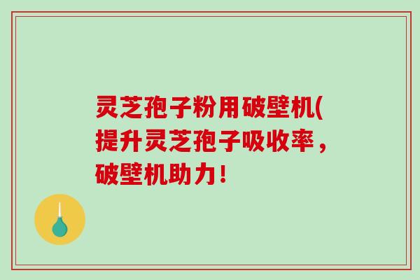 灵芝孢子粉用破壁机(提升灵芝孢子吸收率，破壁机助力！