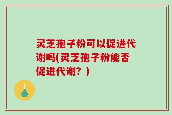 灵芝孢子粉可以促进代谢吗(灵芝孢子粉能否促进代谢？)