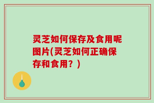 灵芝如何保存及食用呢图片(灵芝如何正确保存和食用？)