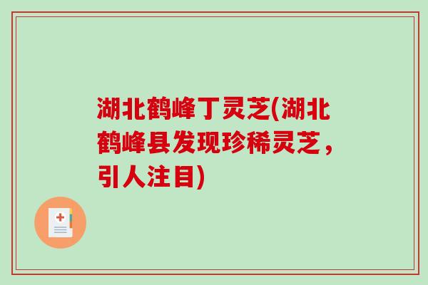 湖北鹤峰丁灵芝(湖北鹤峰县发现珍稀灵芝，引人注目)