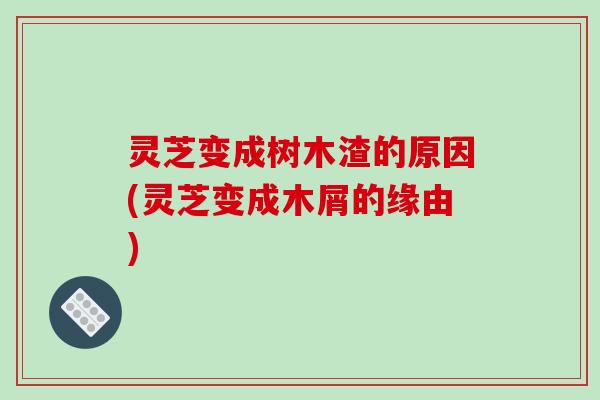灵芝变成树木渣的原因(灵芝变成木屑的缘由)