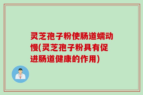 灵芝孢子粉使肠道蠕动慢(灵芝孢子粉具有促进肠道健康的作用)