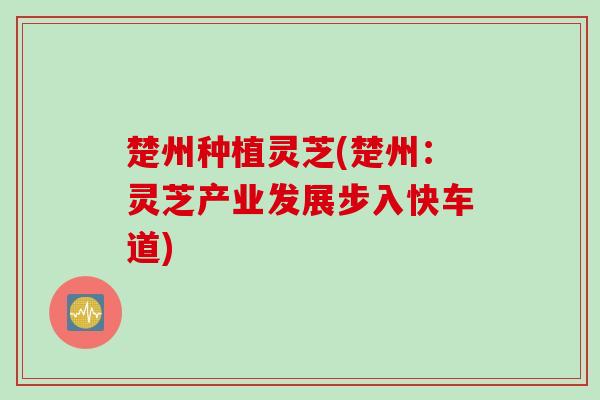楚州种植灵芝(楚州：灵芝产业发展步入快车道)