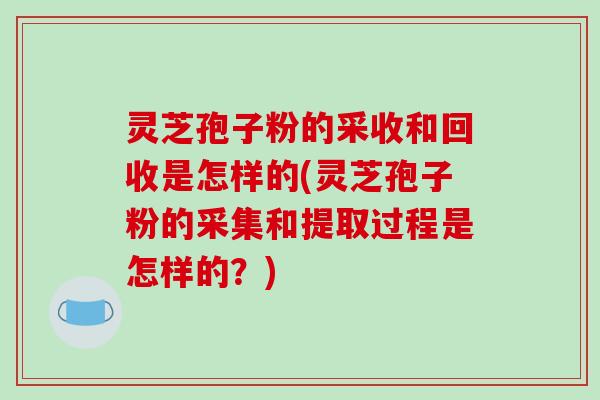 灵芝孢子粉的采收和回收是怎样的(灵芝孢子粉的采集和提取过程是怎样的？)