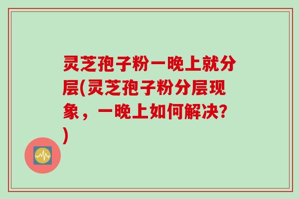 灵芝孢子粉一晚上就分层(灵芝孢子粉分层现象，一晚上如何解决？)