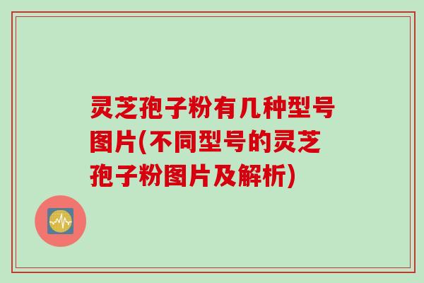 灵芝孢子粉有几种型号图片(不同型号的灵芝孢子粉图片及解析)