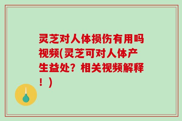 灵芝对人体损伤有用吗视频(灵芝可对人体产生益处？相关视频解释！)