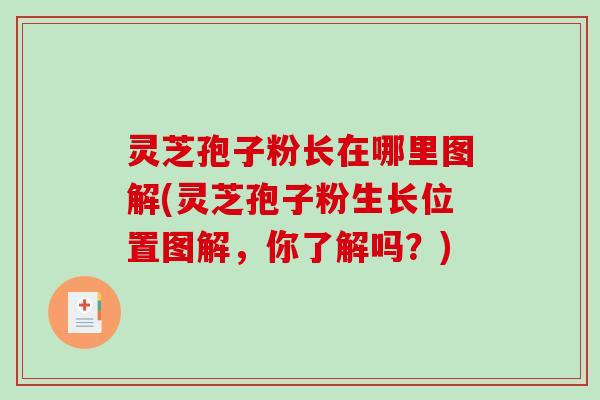 灵芝孢子粉长在哪里图解(灵芝孢子粉生长位置图解，你了解吗？)