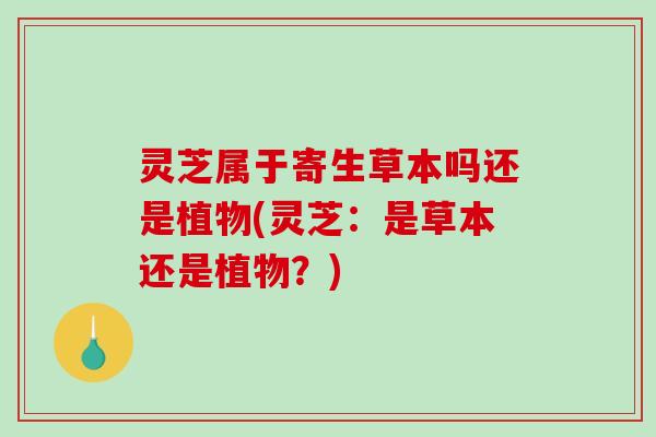 灵芝属于寄生草本吗还是植物(灵芝：是草本还是植物？)
