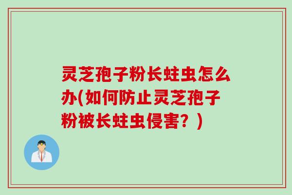 灵芝孢子粉长蛀虫怎么办(如何防止灵芝孢子粉被长蛀虫侵害?) 灵芝孢子粉长蛀虫怎么办(如何防止灵芝孢子粉被长蛀虫侵害?)