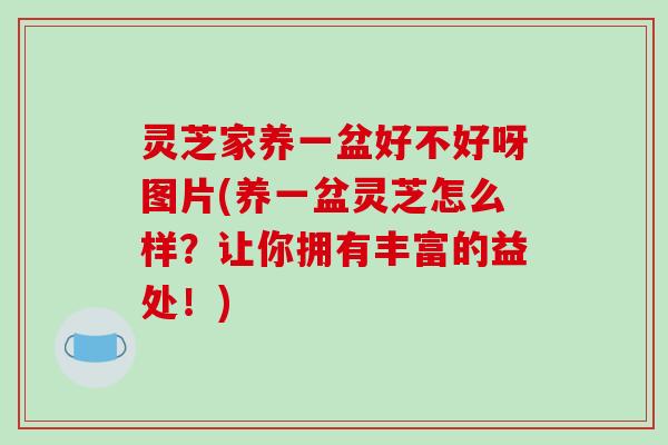 灵芝家养一盆好不好呀图片(养一盆灵芝怎么样？让你拥有丰富的益处！)