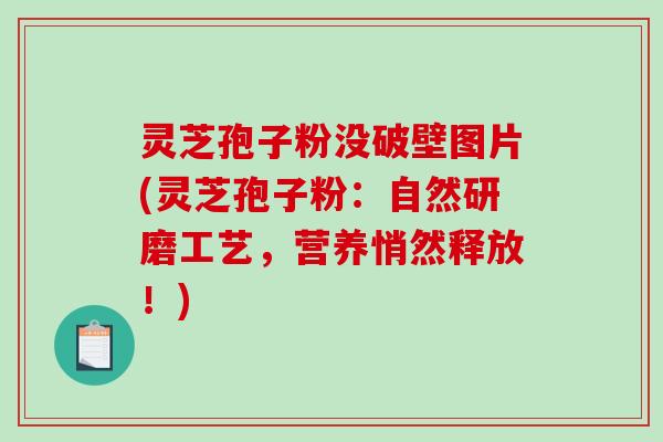 灵芝孢子粉没破壁图片(灵芝孢子粉：自然研磨工艺，营养悄然释放！)