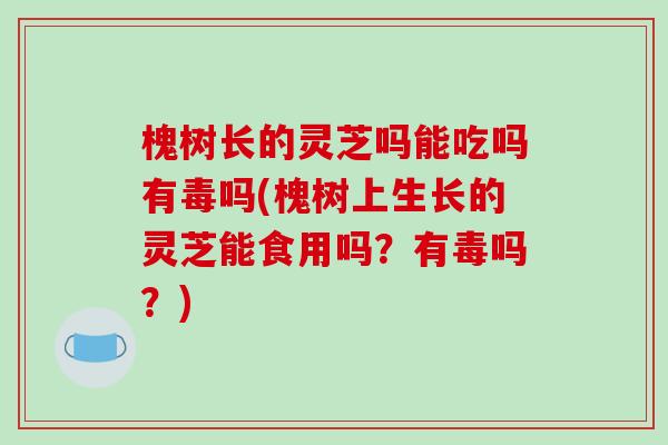 槐树长的灵芝吗能吃吗有毒吗(槐树上生长的灵芝能食用吗？有毒吗？)