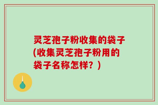 灵芝孢子粉收集的袋子(收集灵芝孢子粉用的袋子名称怎样？)