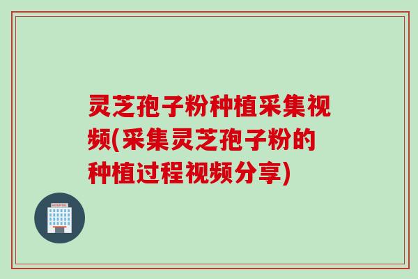 灵芝孢子粉种植采集视频(采集灵芝孢子粉的种植过程视频分享) 灵芝孢子粉种植采集视频(采集灵芝孢子粉的种植过程视频分享)
