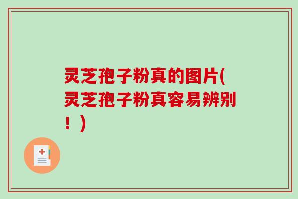 灵芝孢子粉真的图片(灵芝孢子粉真容易辨别！)