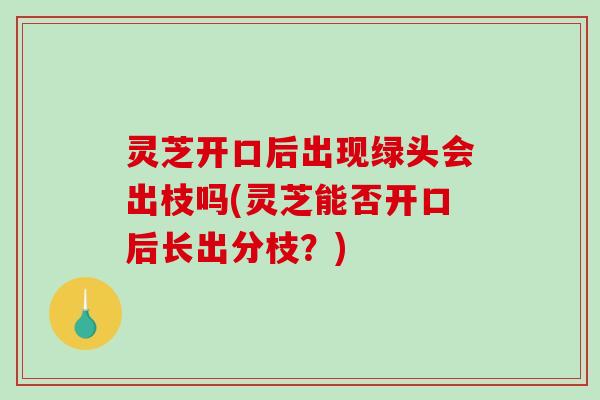 灵芝开口后出现绿头会出枝吗(灵芝能否开口后长出分枝？)