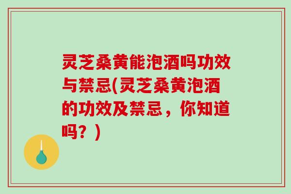 灵芝桑黄能泡酒吗功效与禁忌(灵芝桑黄泡酒的功效及禁忌，你知道吗？)