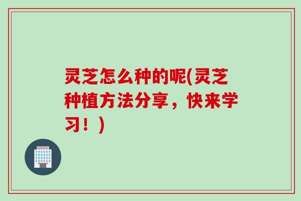 灵芝怎么种的呢(灵芝种植方法分享，快来学习！)
