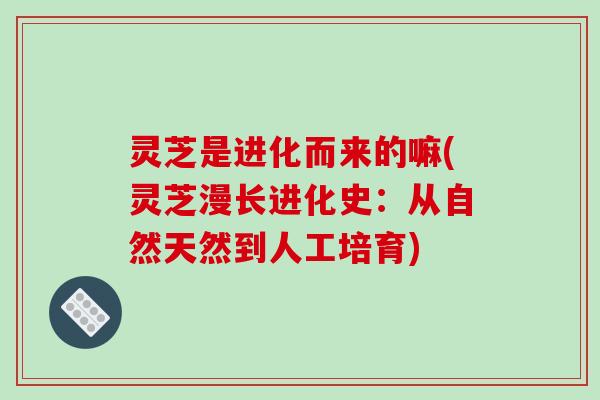 灵芝是进化而来的嘛(灵芝漫长进化史：从自然天然到人工培育)