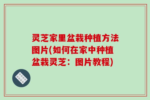 灵芝家里盆栽种植方法图片(如何在家中种植盆栽灵芝：图片教程)