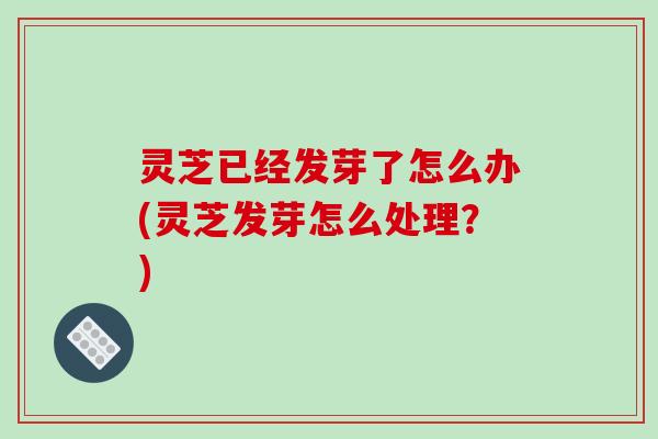 灵芝已经发芽了怎么办(灵芝发芽怎么处理？)