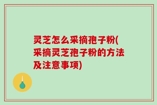 灵芝怎么采摘孢子粉(采摘灵芝孢子粉的方法及注意事项) 灵芝怎么采摘孢子粉(采摘灵芝孢子粉的方法及注意事项)