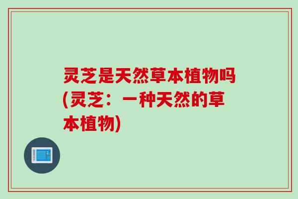 灵芝是天然草本植物吗(灵芝：一种天然的草本植物)