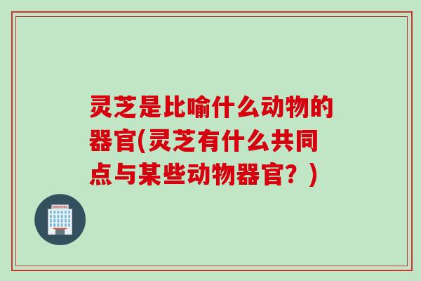 灵芝是比喻什么动物的器官(灵芝有什么共同点与某些动物器官？)