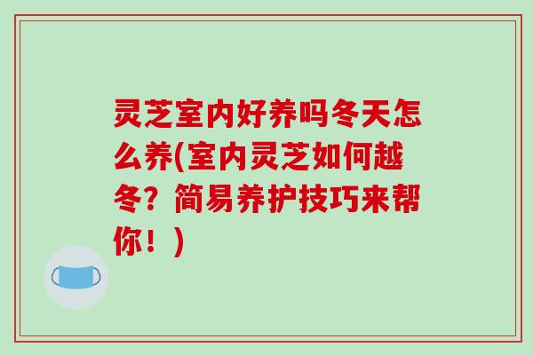 灵芝室内好养吗冬天怎么养(室内灵芝如何越冬？简易养护技巧来帮你！)
